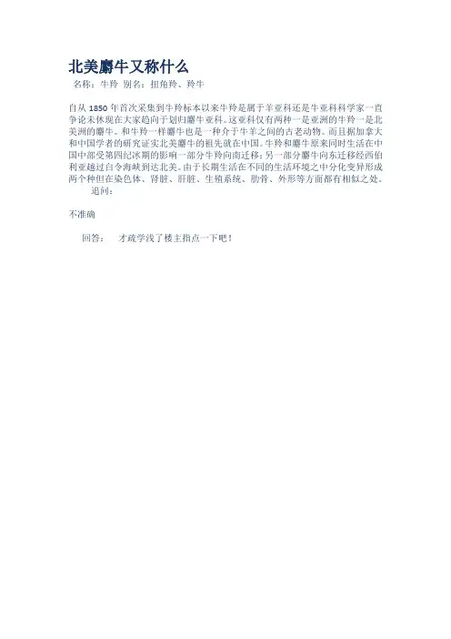 北美麝牛又称什么