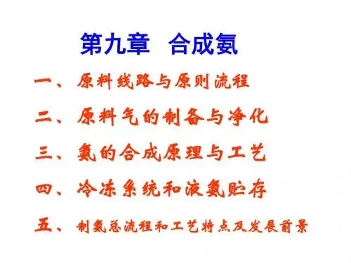 7.第八章合成氨综述