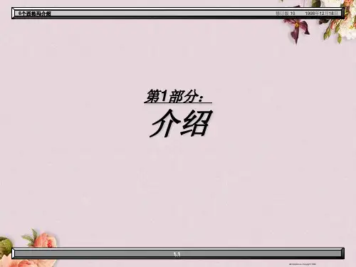 六西格玛管理介绍(ppt 19页)