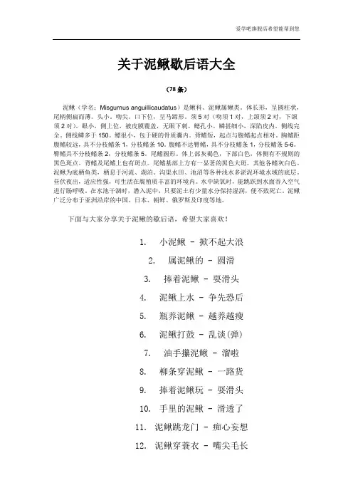 关于泥鳅的歇后语大全