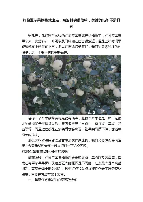 红将军苹果摘袋就出点，防治其实很简单，关键的措施不是打药