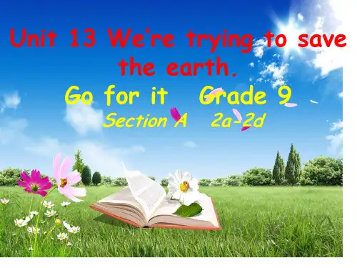 人教版九年级下册英语-unit13-Section-A---2a-2d名师公开课获奖课件百校联赛一等