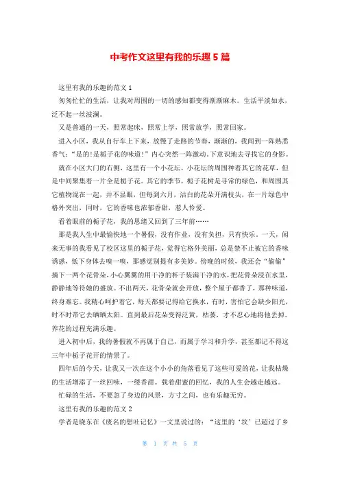 中考作文这里有我的乐趣5篇