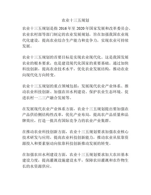 农业十三五规划