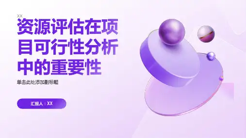 项目可行性分析中的资源评估