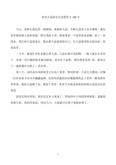 水培大蒜的生长过程作文400字