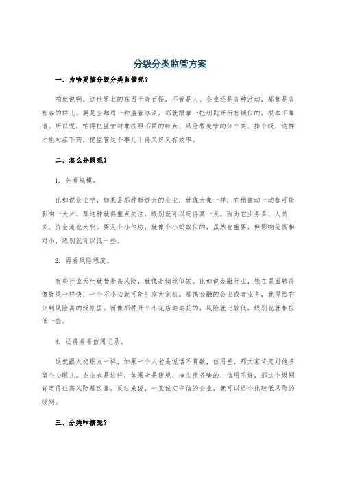 分级分类监管方案