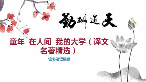 童年 在人间 我的大学(译文名著精选)