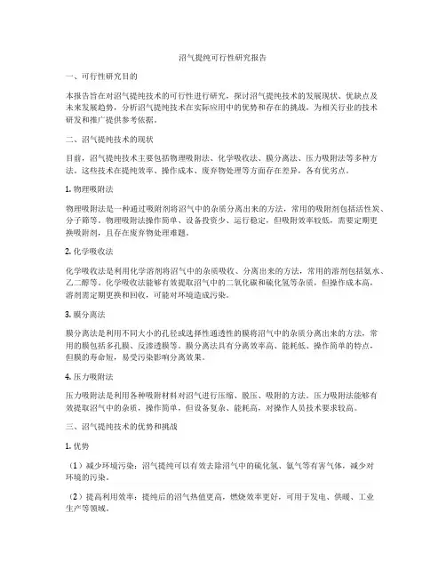 沼气提纯可行性研究报告