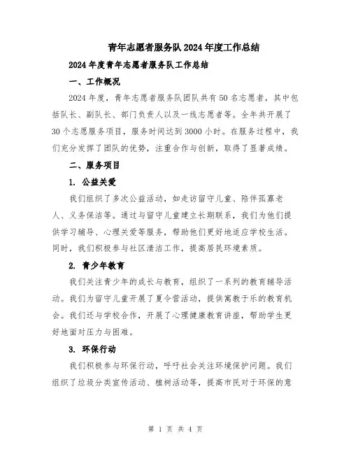 青年志愿者服务队2024年度工作总结