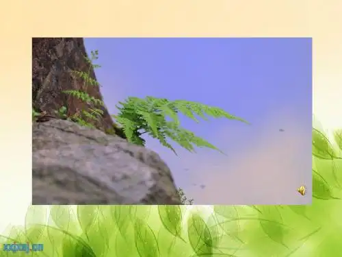 北师大版六年级下册语文公开课课件----《野草》