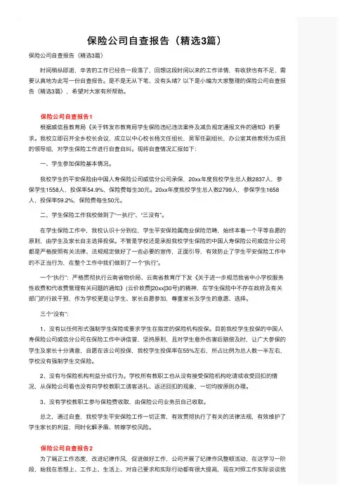 保险公司自查报告（精选3篇）