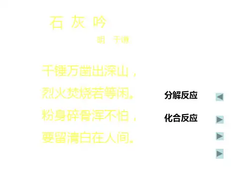 九年级科学化学反应基本类型的复习(PPT)5-2
