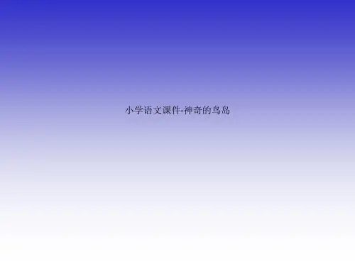 小学语文课件神奇的鸟岛