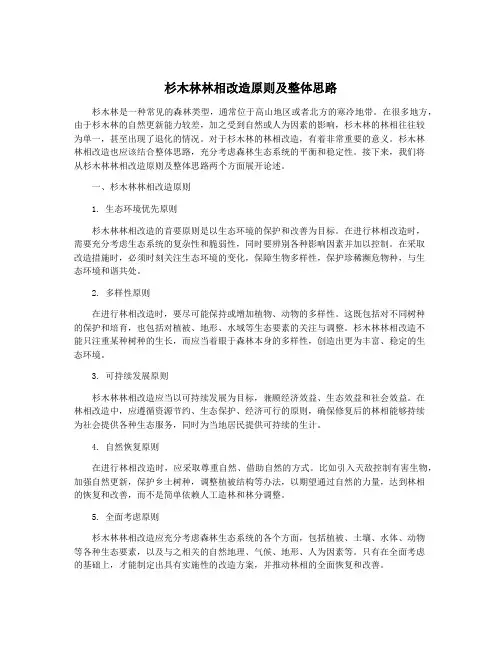 杉木林林相改造原则及整体思路