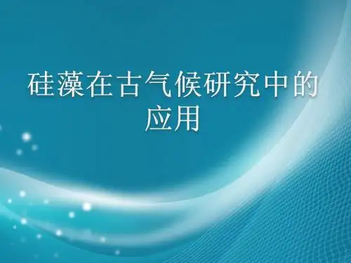 硅藻