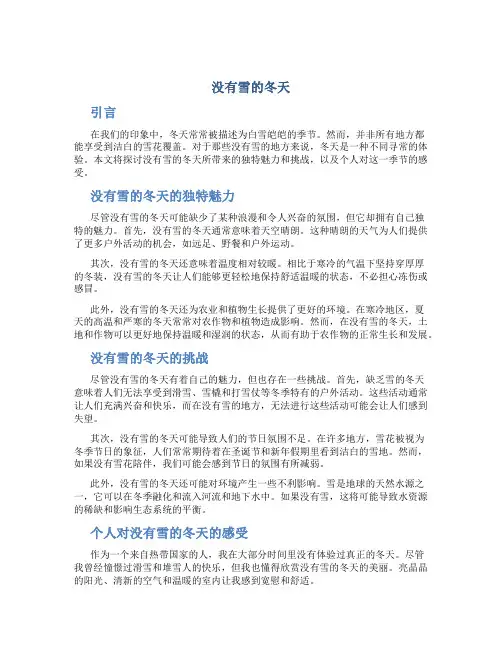 没有雪的冬天作文