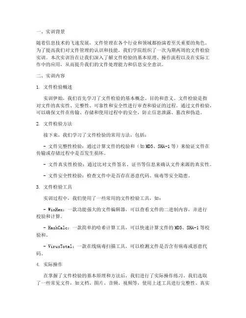 文件检验的实训总结报告