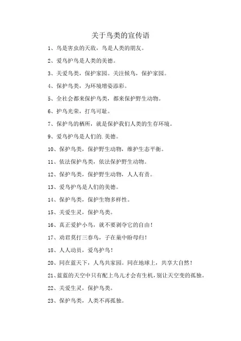 关于鸟类的宣传语