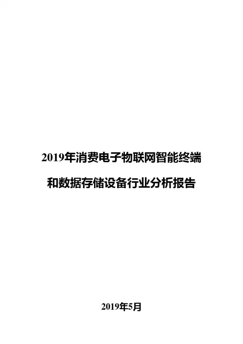 2019年消费电子物联网智能终端和数据存储设备行业分析报告