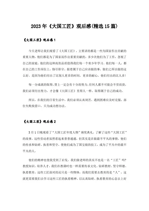 2023年《大国工匠》观后感(精选15篇)