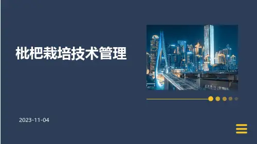 枇杷栽培技术管理