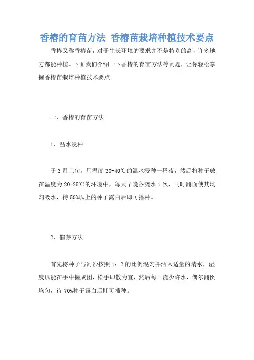 香椿的育苗方法 香椿苗栽培种植技术要点