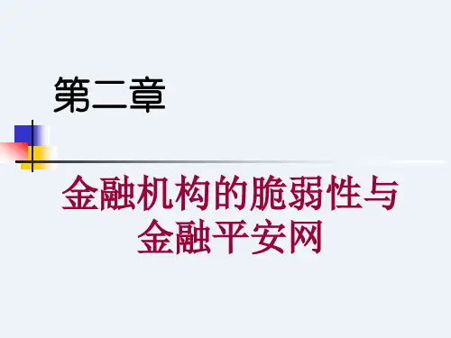 金融机构的脆弱性与金融安全网培训课件