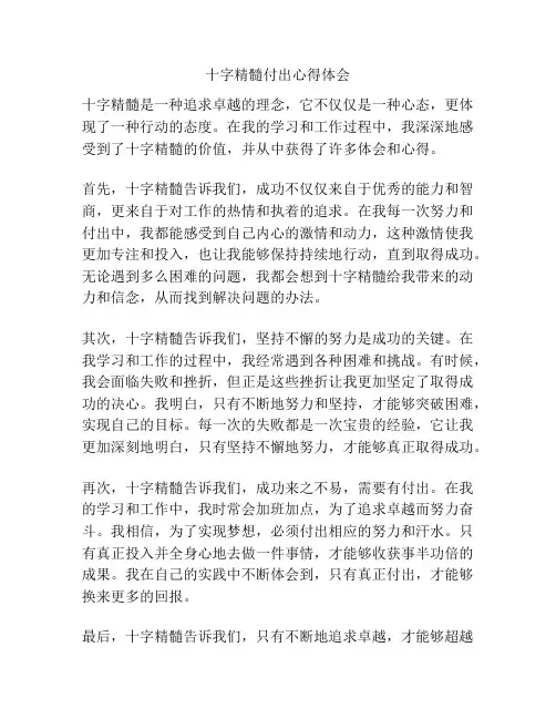 十字精髓付出心得体会