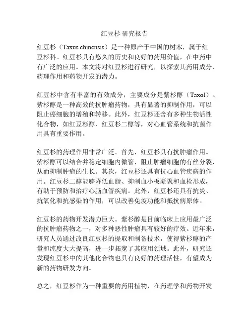 红豆杉 研究报告