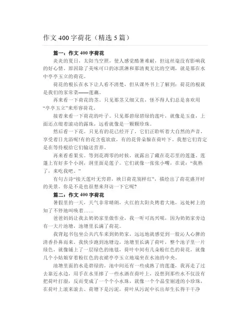 作文400字荷花(精选5篇)