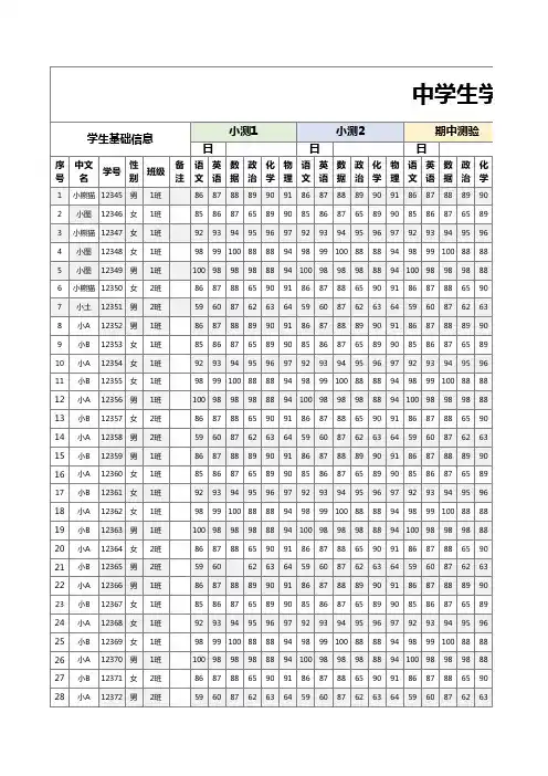 中小学期中期末成绩自动化排名EXCEL模板