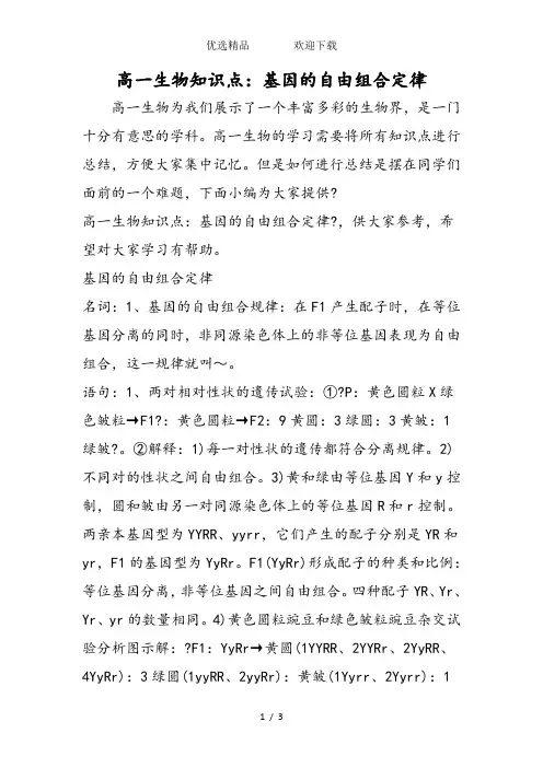 高一生物知识点：基因的自由组合定律