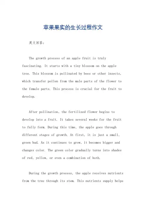 苹果果实的生长过程作文