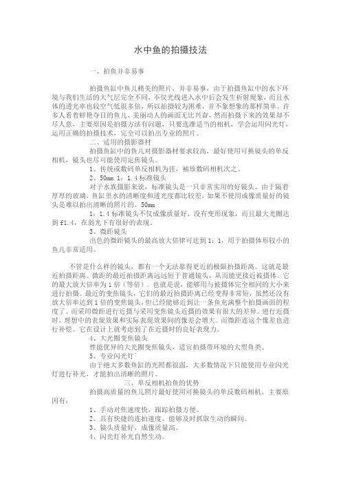 水中鱼的拍摄技法