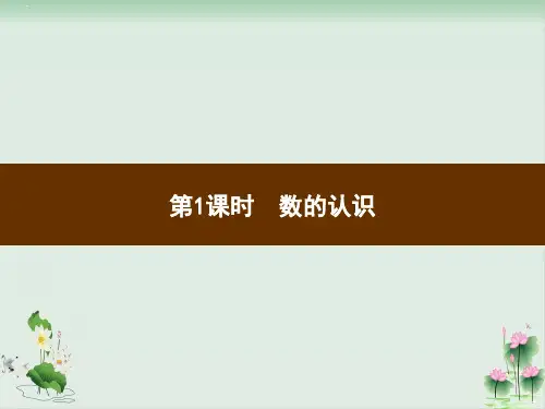 六年级下册数学习题课件1数的认识人教版PPT课件
