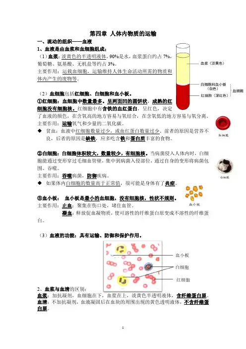 初中生物知识点总结(第4单元第4、5、6、7章)2021-2022学年人教版七年级生物下册