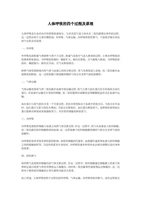 人体呼吸的四个过程及原理