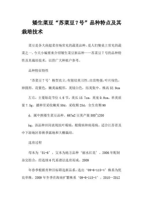 矮生菜豆“苏菜豆7号”品种特点及其栽培技术
