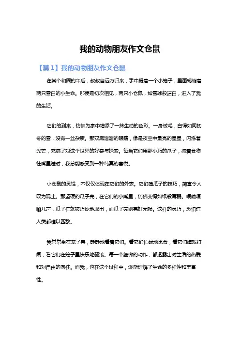 我的动物朋友作文仓鼠