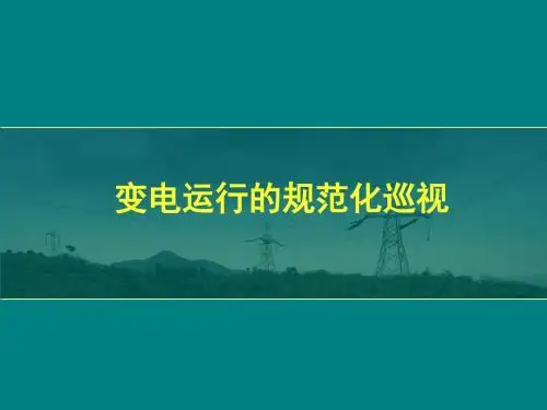 变电运行的规范化巡视.ppt