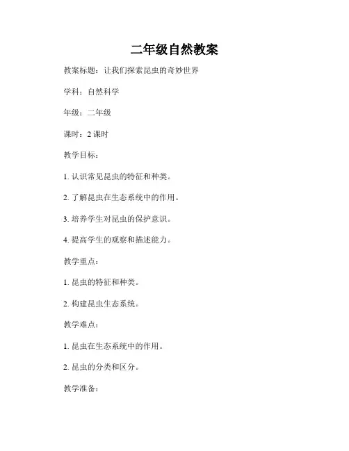 二年级自然教案