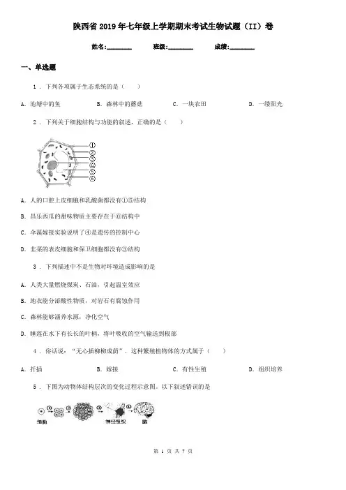 陕西省2019年七年级上学期期末考试生物试题(II)卷
