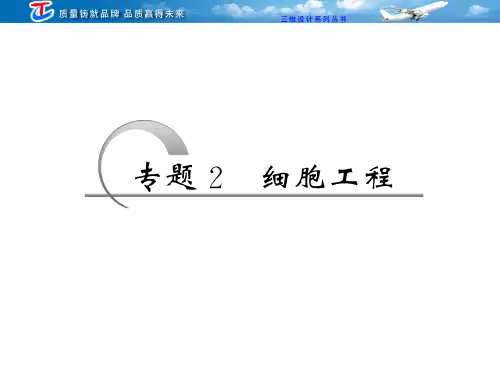 选修三专题细胞工程PPT课件