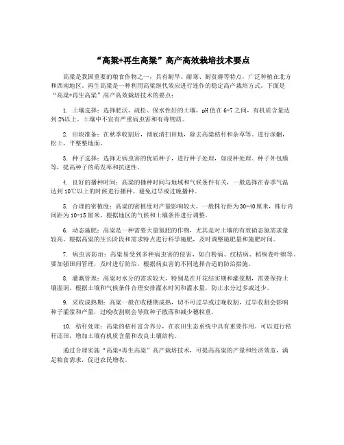 “高粱+再生高粱”高产高效栽培技术要点
