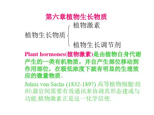 植物生理学Chapter6 -hormone(2)