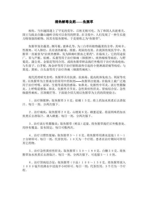 清热解毒良药——鱼腥草