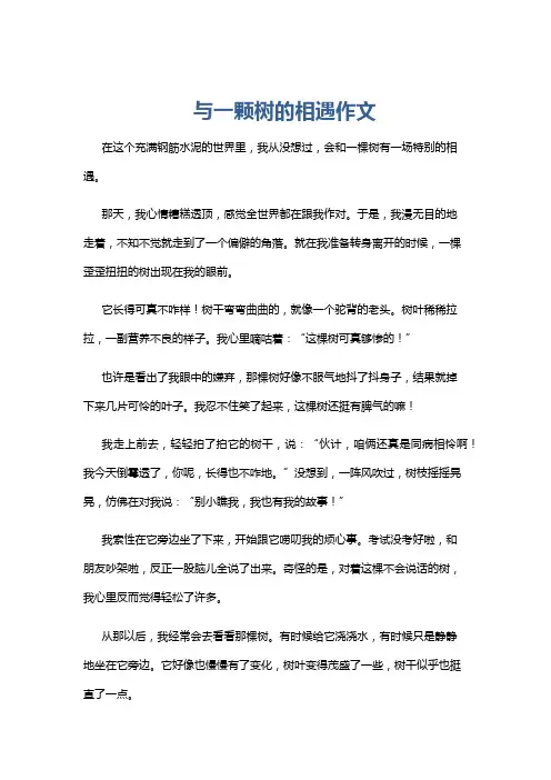 与一颗树的相遇作文