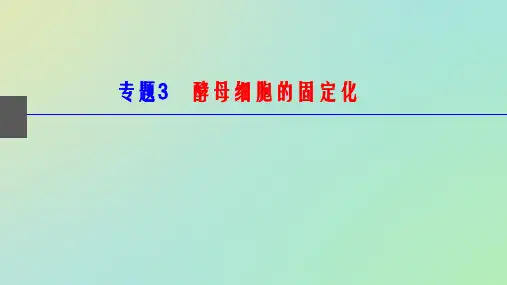 酵母细胞的固定化课件