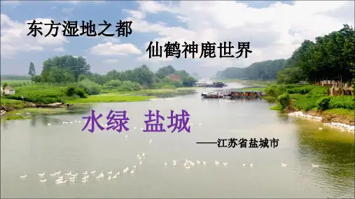 江苏盐城ppt演示课件